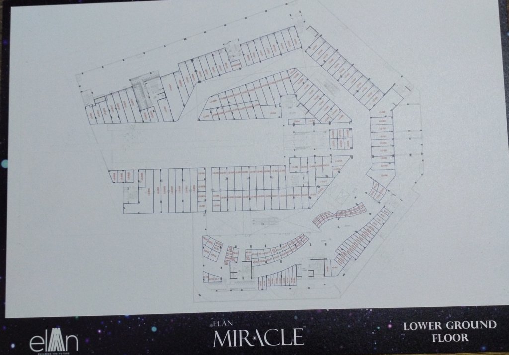 Elan Miracle