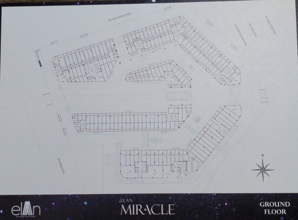 Elan Miracle