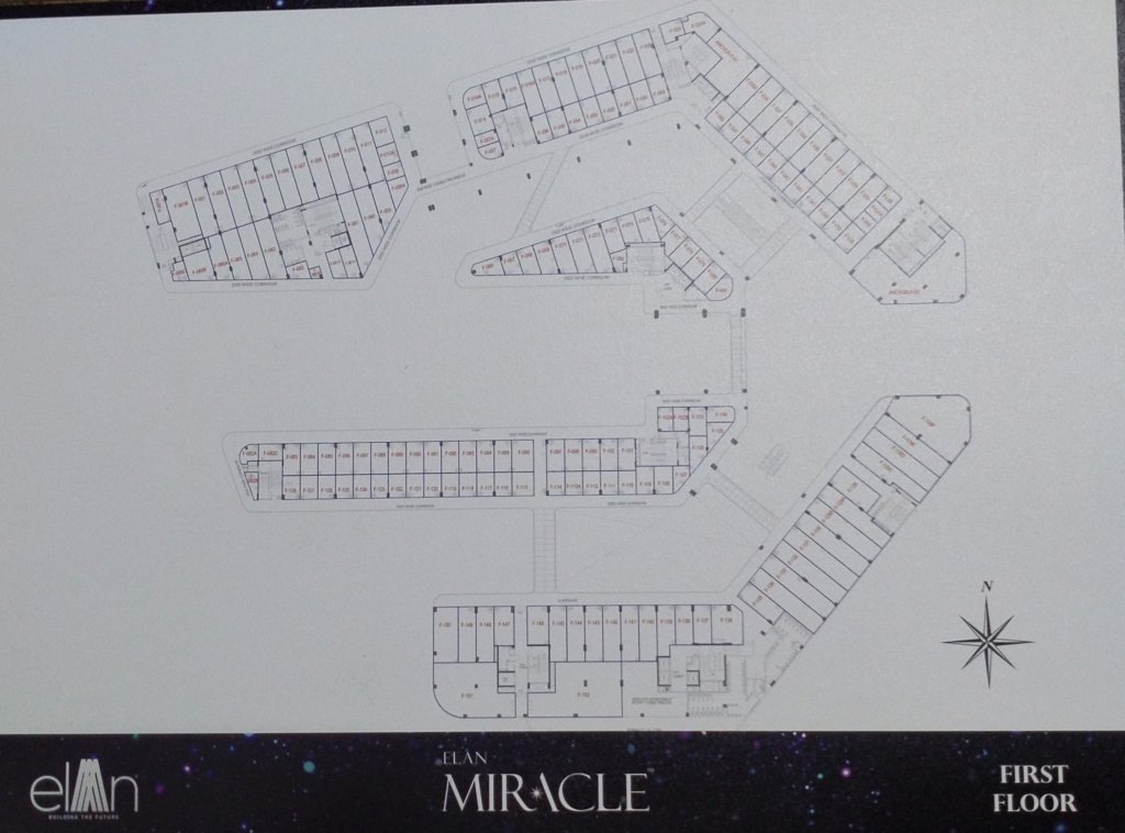 Elan Miracle