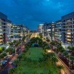 DLF