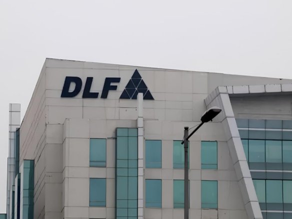 DLF